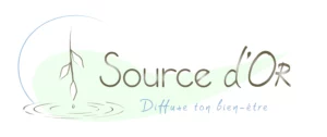 logo de Source d'Or